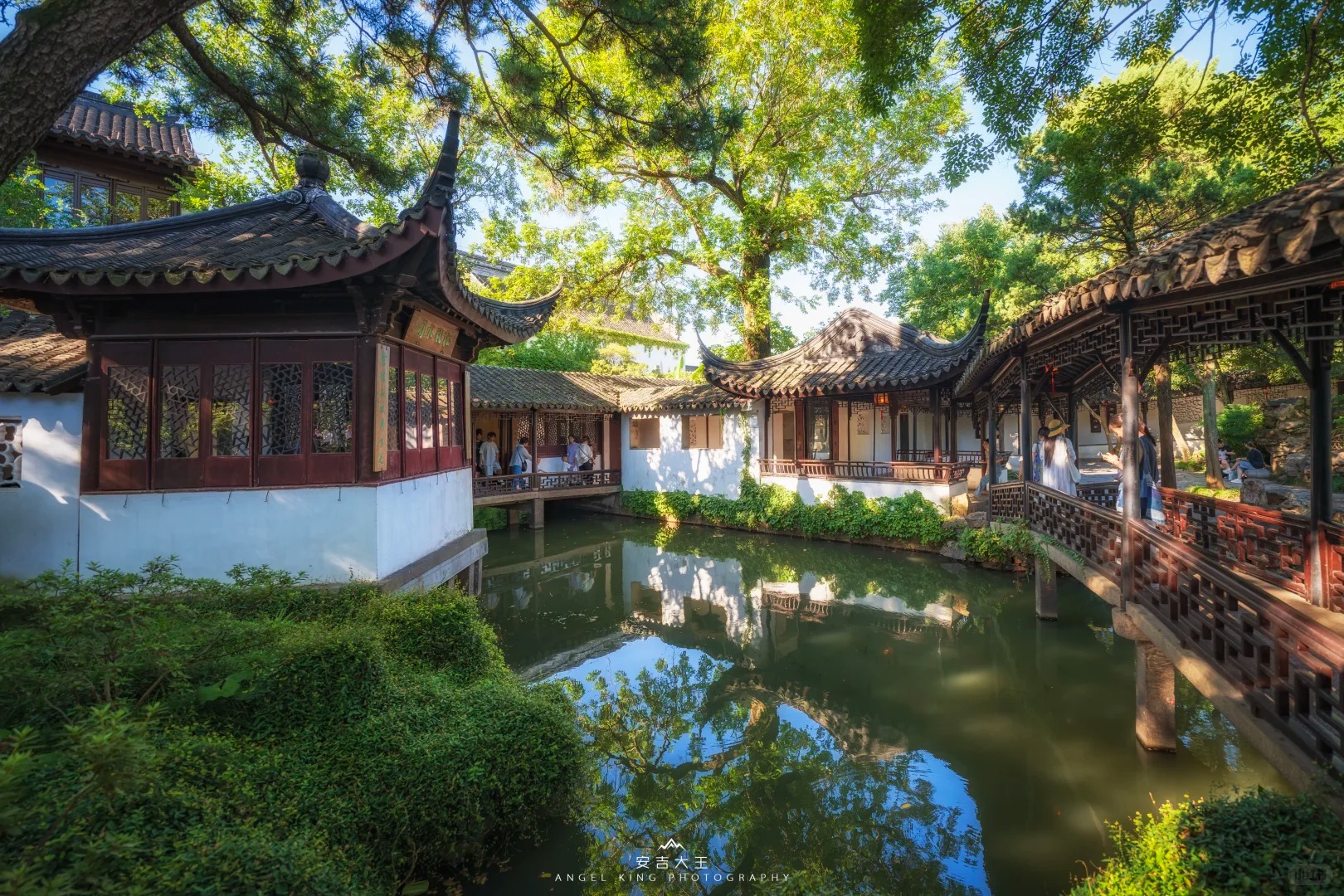 In-depth Suzhou gardens tour